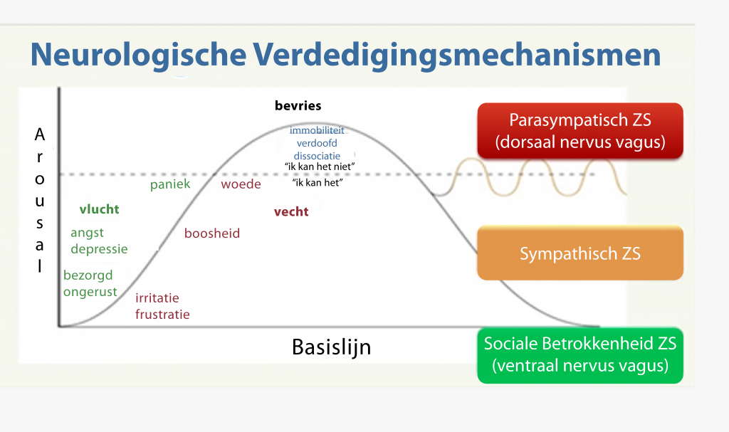 Polyvagaal Theorie Rilegs