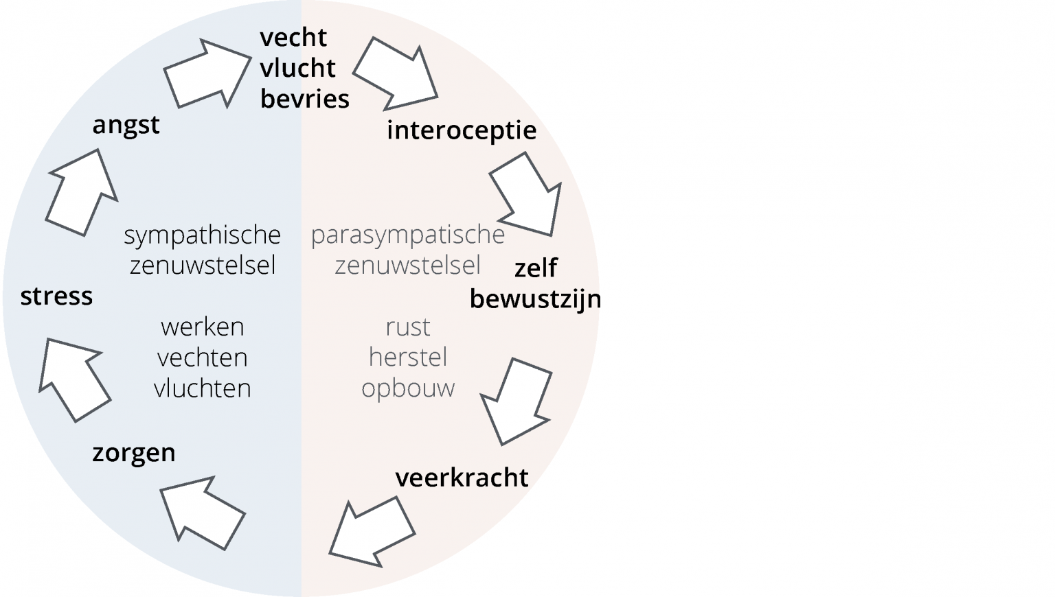 Fight, Flight, Freeze - Rilegs